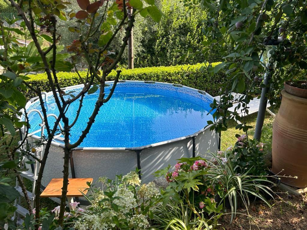Casa Anna A Pietrasanta In Toscana Con Piscina Eksteriør billede