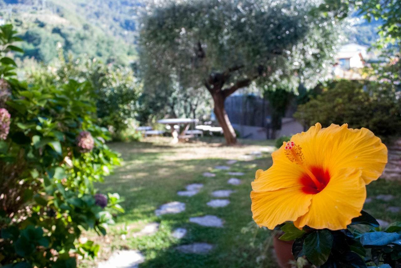 Casa Anna A Pietrasanta In Toscana Con Piscina Eksteriør billede
